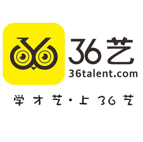 青岛三十六艺网络科技 深耕信息科技领域的创新力量